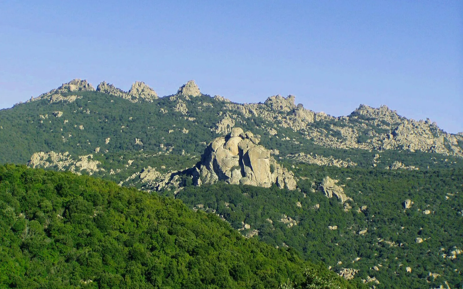 Le cime granitiche del massiccio dei Sette Fratelli coperte di bosco